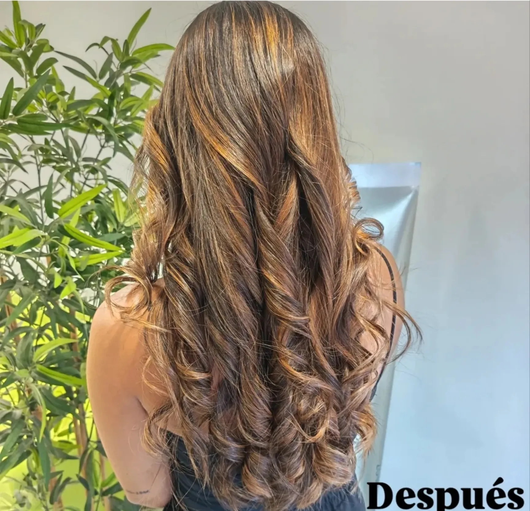 VERÓNICA FERNÁNDEZ IMG SITE 20